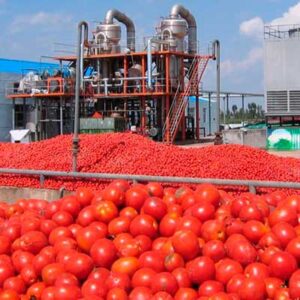 O império vermelho: como o tomate transformou a sociedade e o mundo
