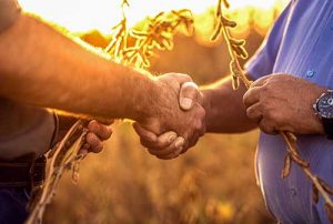 Expodireto Cotrijal: BASF leva soluções para driblar estiagem e altas temperaturas