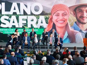 BNDES disponibiliza mais R$ 4,8 bilhões para programas do Plano Safra 2024-25