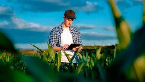 Bayer lança nova modalidade de programa de recomendação técnica para milho visando apoiar ainda mais o aumento de produtividade