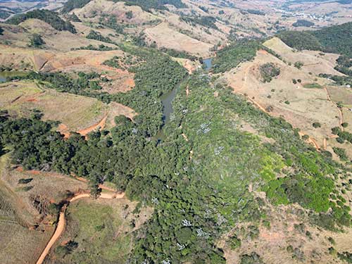 CBA é primeira mineradora em Minas Gerais a receber declaração de recuperação de área minerada com conservação ambiental