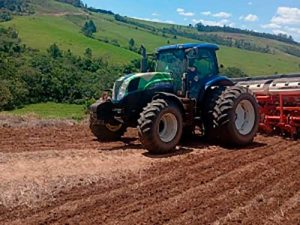 Produção de sementes de alta qualidade fortalece atuação da Capal