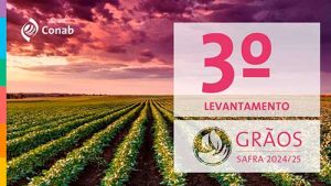 Produção de grãos deve crescer 8,2% e alcançar 322,5 milhões de toneladas na safra 2024/25