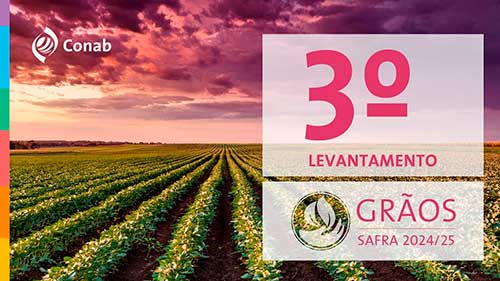  Produção de grãos deve crescer 8,2% e alcançar 322,5 milhões de toneladas na safra 2024/25