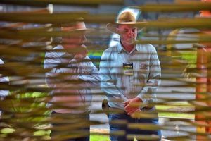 Feira do Cerrado receberá 4 mil cafeicultores em busca de inovação e geração de negócios