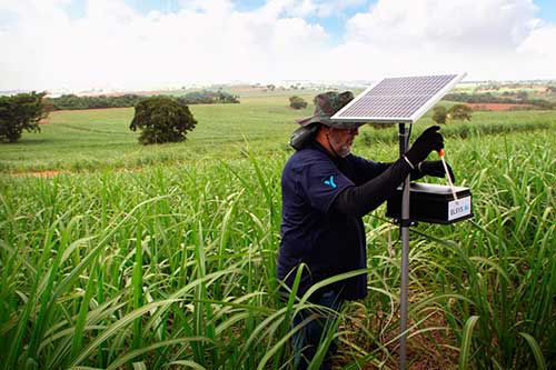 Parceria leva conectividade e tecnologia digital para manejo de pragas em pequenas e médias propriedades 