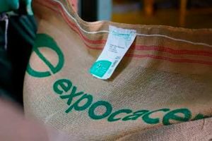 Expocacer lança e-commerce internacional na Specialty Coffee Expo 2025