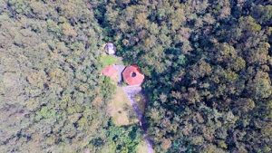 Fundação Eco+ lança ferramenta para avaliar capital natural de empresas e instituições públicas