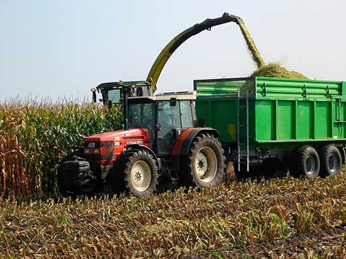 Goiás ganha protagonismo nacional no cultivo de grãos