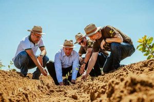 Galvani Investe em Energia Verde para um Futuro Sustentável