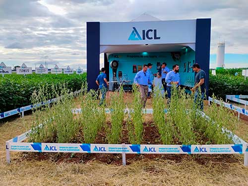 ICL apresenta na CooperShow soluções inovadoras para os desafios do cultivo da soja e do milho safrinha no Estado de São Paulo