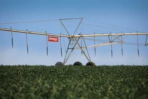 Lindsay apresenta ferramenta para demonstrar como a irrigação pode aumentar a rentabilidade dos produtores rurais na Agrishow 2025