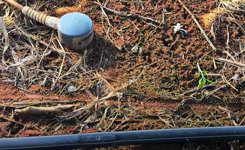 Seca histórica no Peru e lições para a agricultura brasileira
