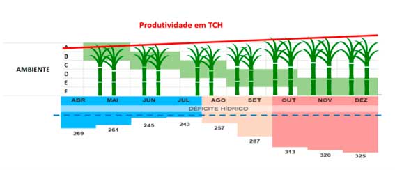 O MANEJO INTEGRADO DE IRRIGAÇÃO