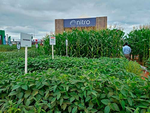  Coopershow 2025: produtores paulistas podem contar com estratégias de manejo para mitigar perdas