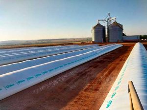 Silo Bolsa é alternativa durante a construção de estrutura de armazenamento definitiva