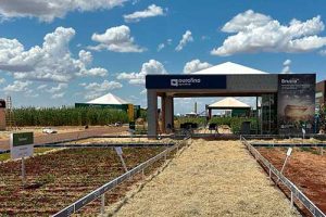 Ourofino Agrociência marca presença na Agrotec 2025 com soluções inovadoras para soja e milho