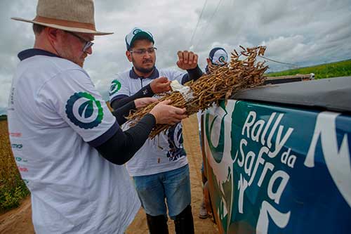 Impulsionada pelo clima favorável e aumento de área, safra de soja deve ser a maior da história