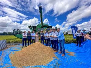 SindArroz-SC celebra Abertura da Colheita de Arroz de Santa Catarina