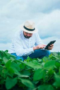 Supply Chain no agronegócio: combinação de tecnologia e habilidades humanas é fundamental para o futuro do setor