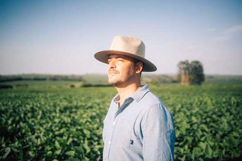 Condições fitossanitárias e climáticas devem fazer parte do checklist do produtor para a escolha das cultivares de soja