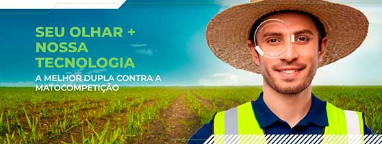 Uso de inteligência artificial nas lavouras garante eficiência no controle de plantas daninhas, doenças e deficiências nutricionais