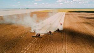 Grupo digitaliza propriedade rural utilizando redes privativas