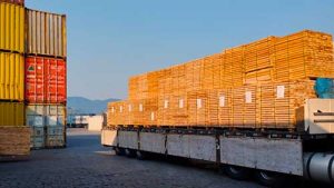 WoodFlow lança sistema para adequação ao EUDR nas exportações de madeira