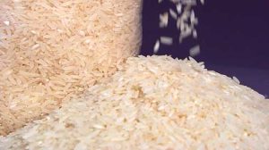 Brasil fecha 2024 com aumento das exportações de arroz beneficiado