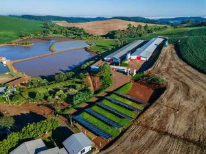 Metas de redução de emissões de gases de efeito estufa da BRF são aprovadas pela Science Based Target initiative (SBTi)