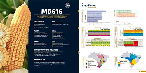 LongPing High-Tech apresenta inovações em híbridos de milho na Show Rural Coopavel 2025