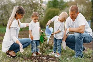 A saúde das plantas contribui diretamente para o bem-estar da sua família