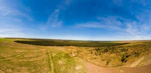 ADM e Parque Vida Cerrado reforçam parceria para desenvolver Guia de Flora