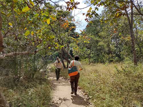 ADM e Parque Vida Cerrado reforçam parceria para desenvolver Guia de Flora