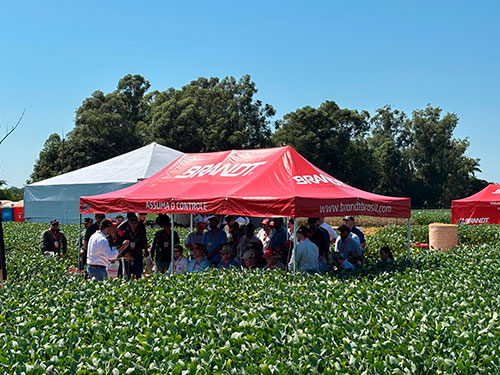BRANDT Brasil promove PitStop Técnico e destaca estratégias para altas produtividades