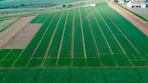 Centro Tecnológico da 3tentos é credenciado pelo Ministério da Agricultura para testar e certificar produtos agrícolas