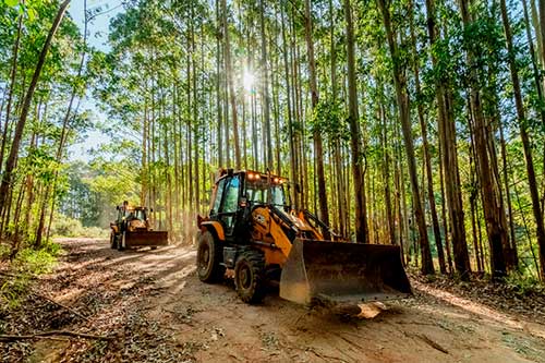 Armac avança no mercado florestal com nova operaçãoem um dos principais polos do Brasil