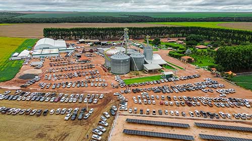 DO PREPARO À COLHEITA