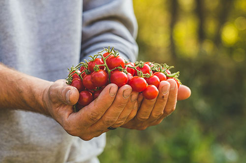 ApexBrasil e Ministério do Desenvolvimento Agrário e Agricultura Familiar levarão 24 empresas brasileiras para Alemanha