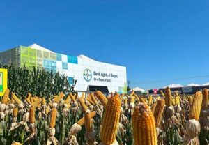 Bayer inova com soluções de proteção de cultivos e sementes de ponta no Show Rural Coopavel