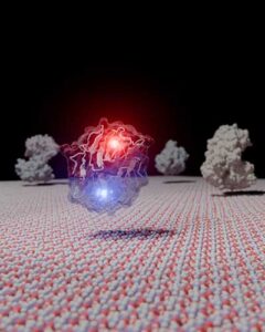 Descoberta de enzima da biodiversidade brasileira revoluciona produção de bioenergia e ganha destaque na Nature
