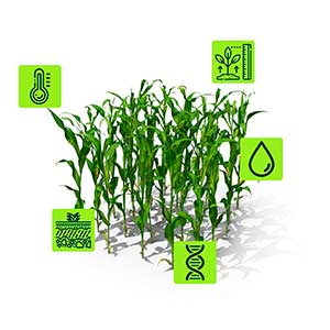 Plataforma com IA avançada leva pesquisas de campo a um novo patamar tecnológico