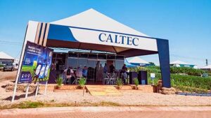 Ferticorretivo refinado com adição de Zinco e Boro potencializa nutrição e produtividade no campo