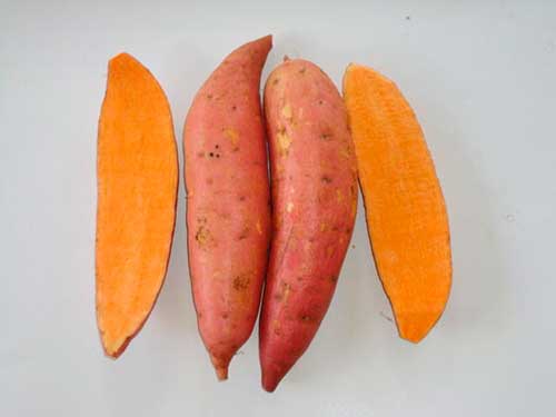 Embrapa realiza capacitação em alimentos biofortificados para sistemas agroflorestais no Pará