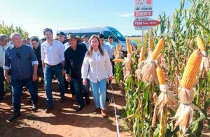 Vale do Araguaia pode tornar Goiás o 3º maior produtor de grãos do País