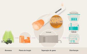 Evonik lança site dedicado ao mercado de membranas para a separação eficiente de gases
