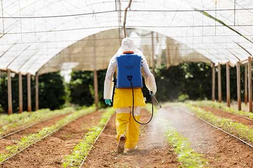 Show Rural Coopavel 2025: Jacto apresenta inovação e tecnologia em sua linha de equipamentos portáteis para o setor agrícola 