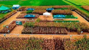 Campo & Conhecimento leva capacitação e dicas sobre plantio e manejo aos produtores rurais