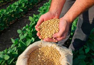 Ourofino Agrociência apresenta inovações e soluções para a soja na 9ª edição do CropShow