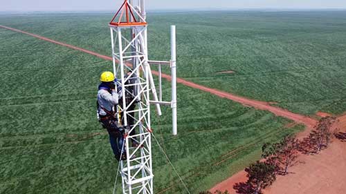 Em ano decisivo, agronegócio encontra soluções para aumentar eficiência financeira, produtiva e agronômica no campo